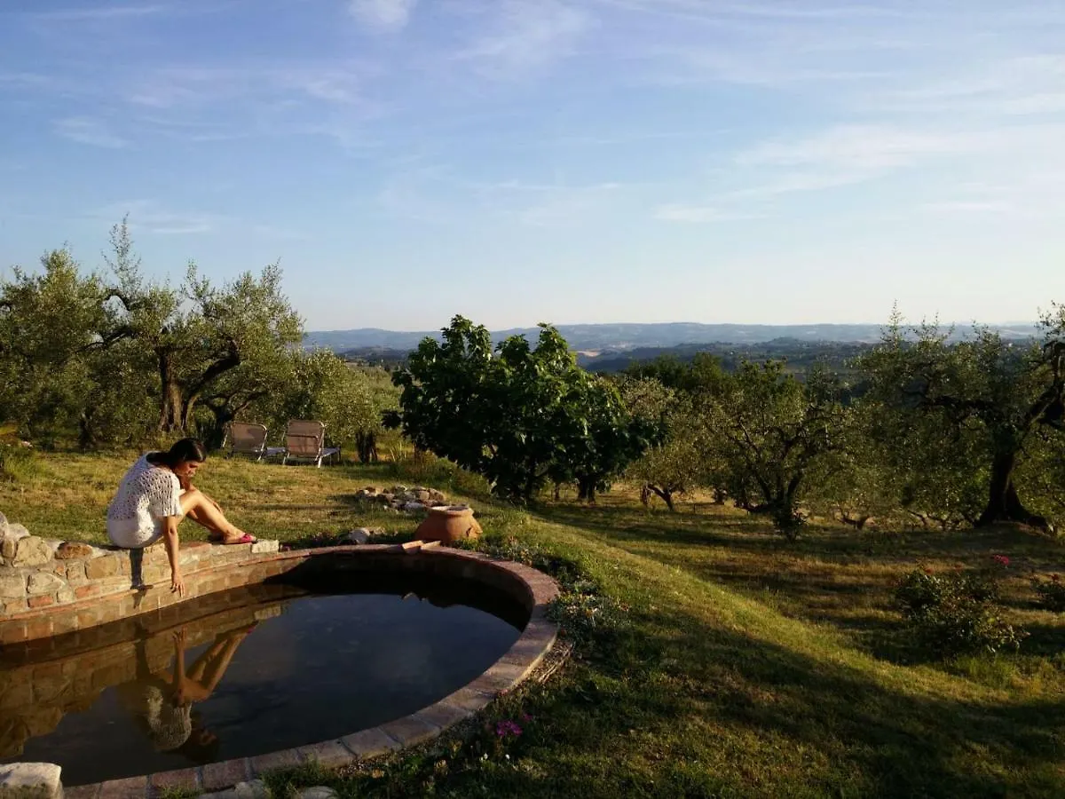 B&B Il Poggetto Montespertoli Bed & Breakfast