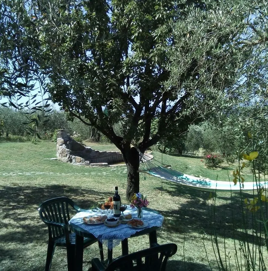 *** Bed & Breakfast B&B Il Poggetto Montespertoli Itálie